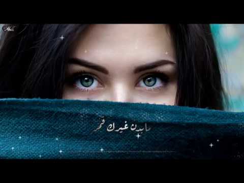 وائل كفوري يا أميرة كل النجمات