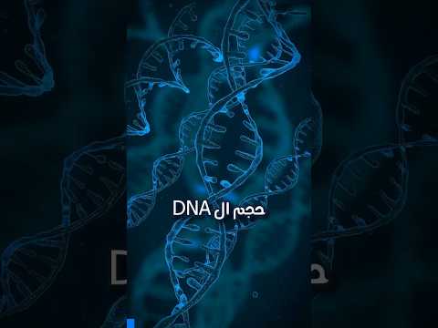 لن تصدق حجم ال DNA في جسمك هل تعلم
