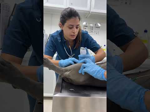 الحمدلله زورو منيح تفاصيل العملية نزلت كاملة فوتتوا حضروها