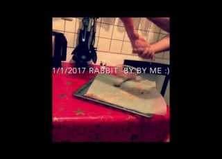  Funny Iraqi Cocked A A Rabbit ارنب