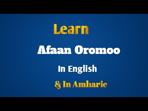 Daily English Conversation Practice In Afaan Oromo And Amharic Afaan Oromo Explanation Afaanoromoo