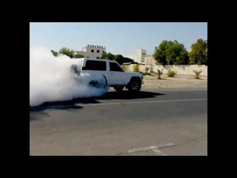 شمامي شمامي