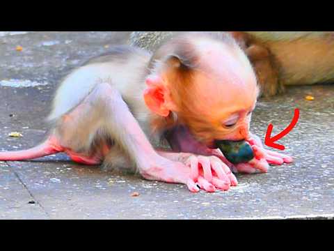 MyGod What Something Wrong With This Charming Baby The Baby S Getting Skinny Grows Up So Late