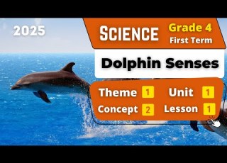  Dolphin Senses Grade 4 Unit 1 Concept 2 Lesson 1 Science