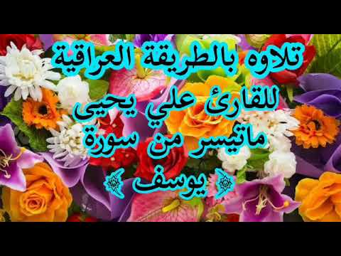 القارئ علي يحيى ماتيسر من سورة يوسف