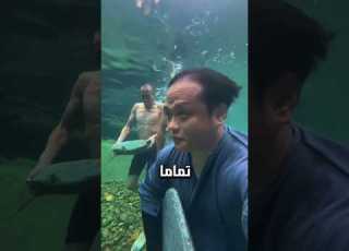  ما الذي يقوم به هؤلاء المجانين عجائب غرائب غموض شورتس