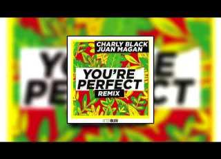  Charly Black Juan Magan You Re Perfect Remix