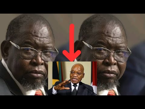 Finance Minister Enoch Godongwana Accuses Jacob Zuma Of Causing Chaos