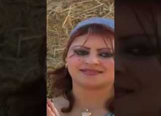  CHEBA NABILA Chibani Rai Chaabi Chaabimarocaine Chaabi Provisound Cha3bi