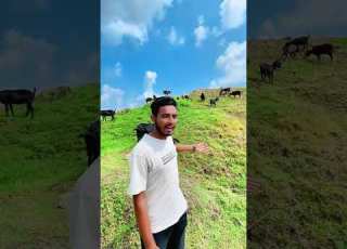  প হ ড এল ক য প হ ড প র ক ত ক পর ব শ ছ গল ল লন প লন কর স ব ব লম ব প হ ড ম ন ষ Shorts