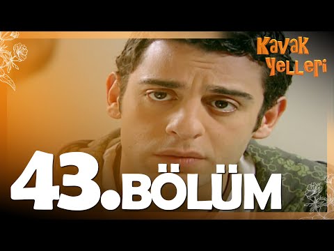 Kavak Yelleri 43 Bölüm FULL Bölüm Kavak Yelleri 43 Bölüm FULL Bölüm