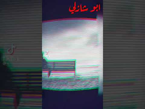 همومي شايلها جوايا