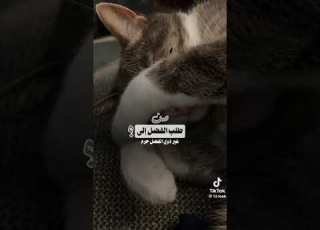  انشوده من سالم اناس سلم