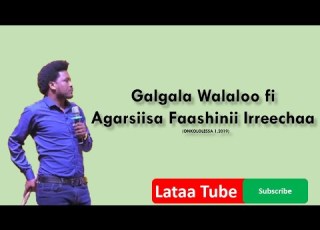 Galgala Walaloo Fi Agarsiisa Faashinii Irreecha 2019