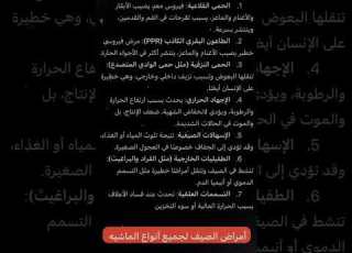 اعلاف برسيم مكعب رودس نخاله امراض لغبوب مالطيه ابلور خلطه نجم الحلال 0565030333