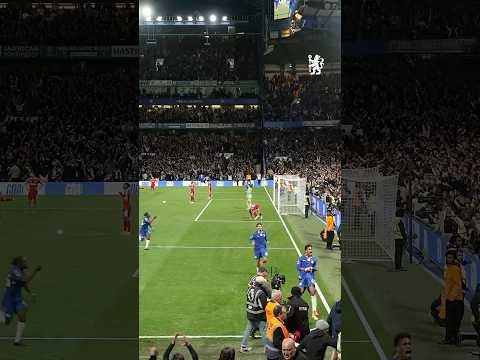 Knocking On The Door Till It Breaks