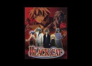 Taku Iwasaki TI UCCIDO MA NON MI SODDISFO Black Cat