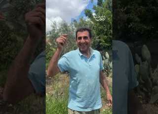  حين يصبح المكان علاجا الجنوب بديلا عن الـ Cipralex