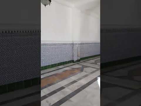 الفاتح عقبة ابن نافع