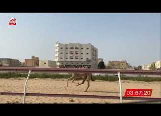  ش 12 قيادة لـ راشد مطر سعيد حضيرم الكتبي 9 55 62 شارة الديوان 2026 03 03 ايذاع التله