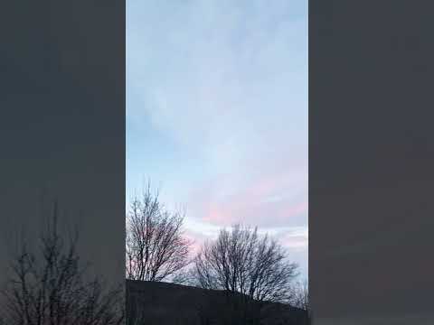 Music Song Lyrics Love Shots Rek BigboyMika