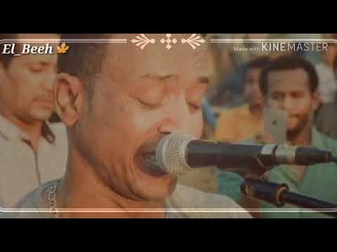 من أجمل الحالات ابو زيزو