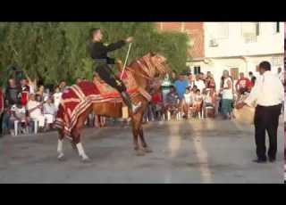Un Cheval Danse Sur Les Tones De Zoukra مذهل حصان ي على أنغام الزكرة
