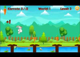 Bunny Run
