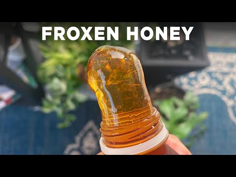 Frozen Honey Trend