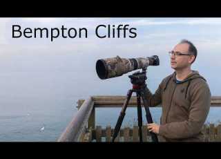 Bird Photography By The Ocean But Will The Light Hold Canon EF 500mm F 4 Lens Canon R6