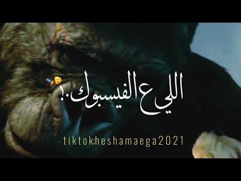 حالات واتس انا مش خرونج دا انا كينج كونج2021