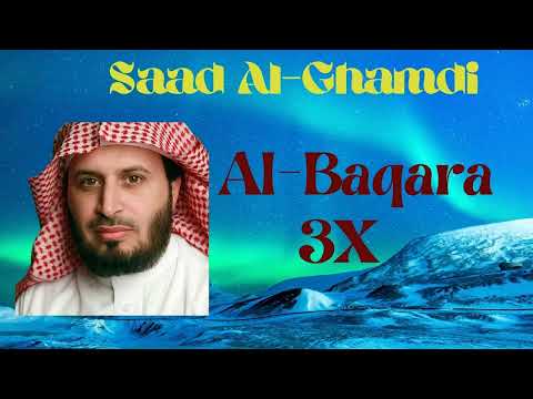 Sura Al Baqarah 3X Saad Al Ghamdi