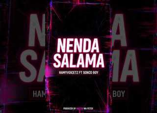Hamyvoicetz Ft Sonco Boy Nenda Salama Official Audio