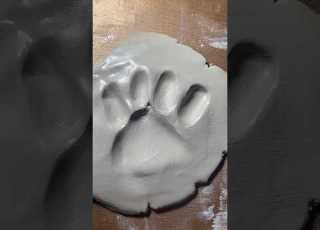  Making My Paw Print Not Original Therian Art Clay