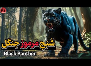 جگوار سیاه یا پلنگ سیاه جگوار سیاه خطرناک ترین پلنگ روی کره زمین