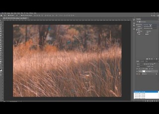  How To Install Use LUTs In Photoshop For PC MAC