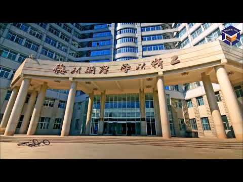 Beijing Institute Of Technology