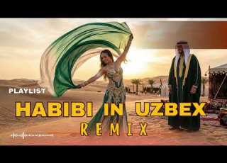  Best DJ Arabic Remix 2026 Viral Middle Eastern Dance Music Habibi Mix