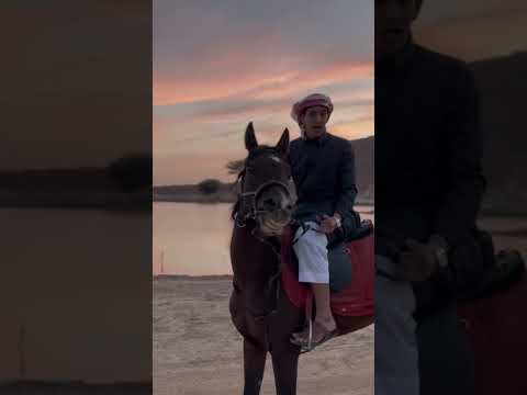 انا اين فيصل الشاعر مهند الفيصل