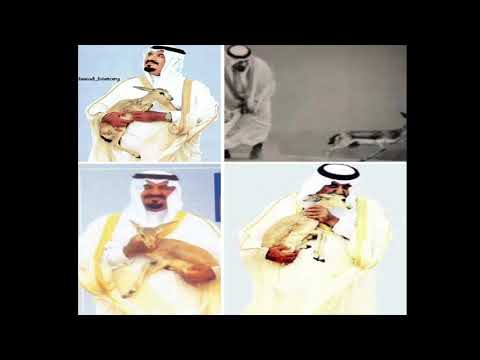 محمد عبده المها والريم في الامير سلطان بن عبدالعزيز محمد عبده المها والريم في الامير سلطان بن عبدالعزيز