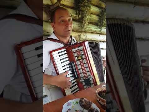 Десь узявся в нирках камінь