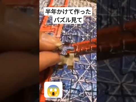 半年かけて作ったパズル