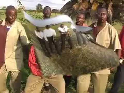 Uvivu Ni Adui Wa Ujenzi Wa Taifa