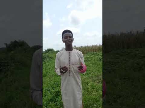 S UZIRI NA SIDI CIKIN KASIDAR MAKIRAR ZANCE