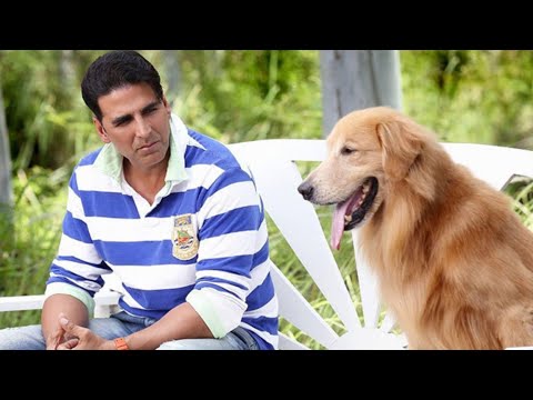 بعد ماقضى نص حياته فى الفقر بيعرف بالصدفه ان والده مليونير وبيتصدم لما بيعرف انه كتب ثروته لكلب بعد ماقضى نص حياته فى الفقر بيعرف بالصدفه ان والده مليونير وبيتصدم لما بيعرف انه كتب ثروته لكلب