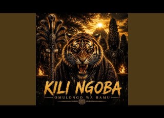  Kili Ngoba