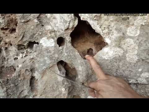 An Important Lesson For All Researchers With Professor Abu Al Jarar