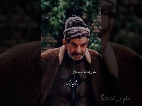 می گفت دلتنگ یکی شدن ربطی به آخرین زمانی که همو دیدین نداره هر وقت کاری رو انجام دادی و آرزو کردی