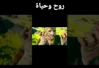 انا طلبي أني اشوف المجد انا طلبي أني اشوف المجد