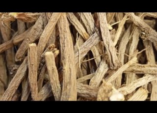  Taqandisht Herb Benefits Of Taqandisht Herb
